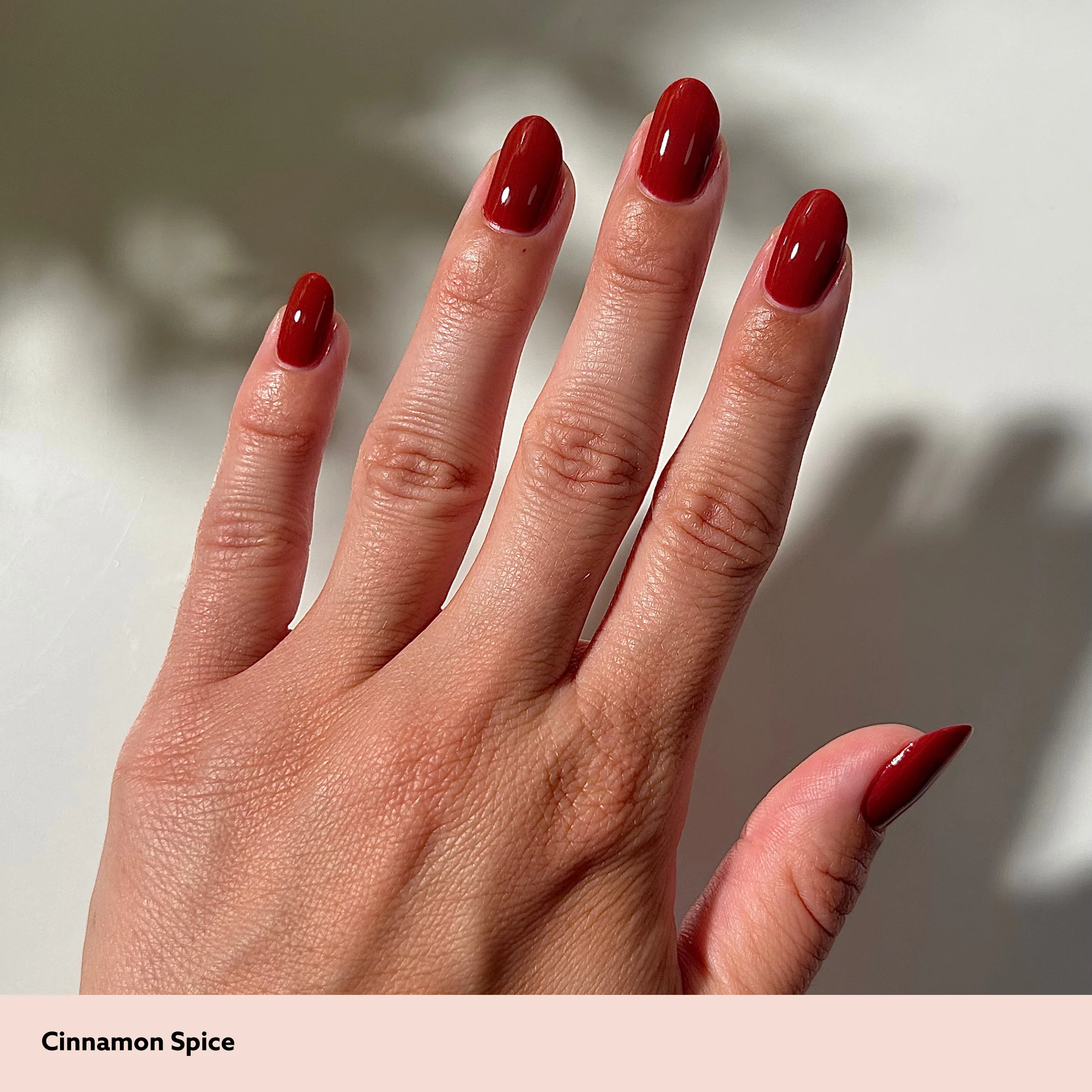 Cinnamon Spice - Image 6