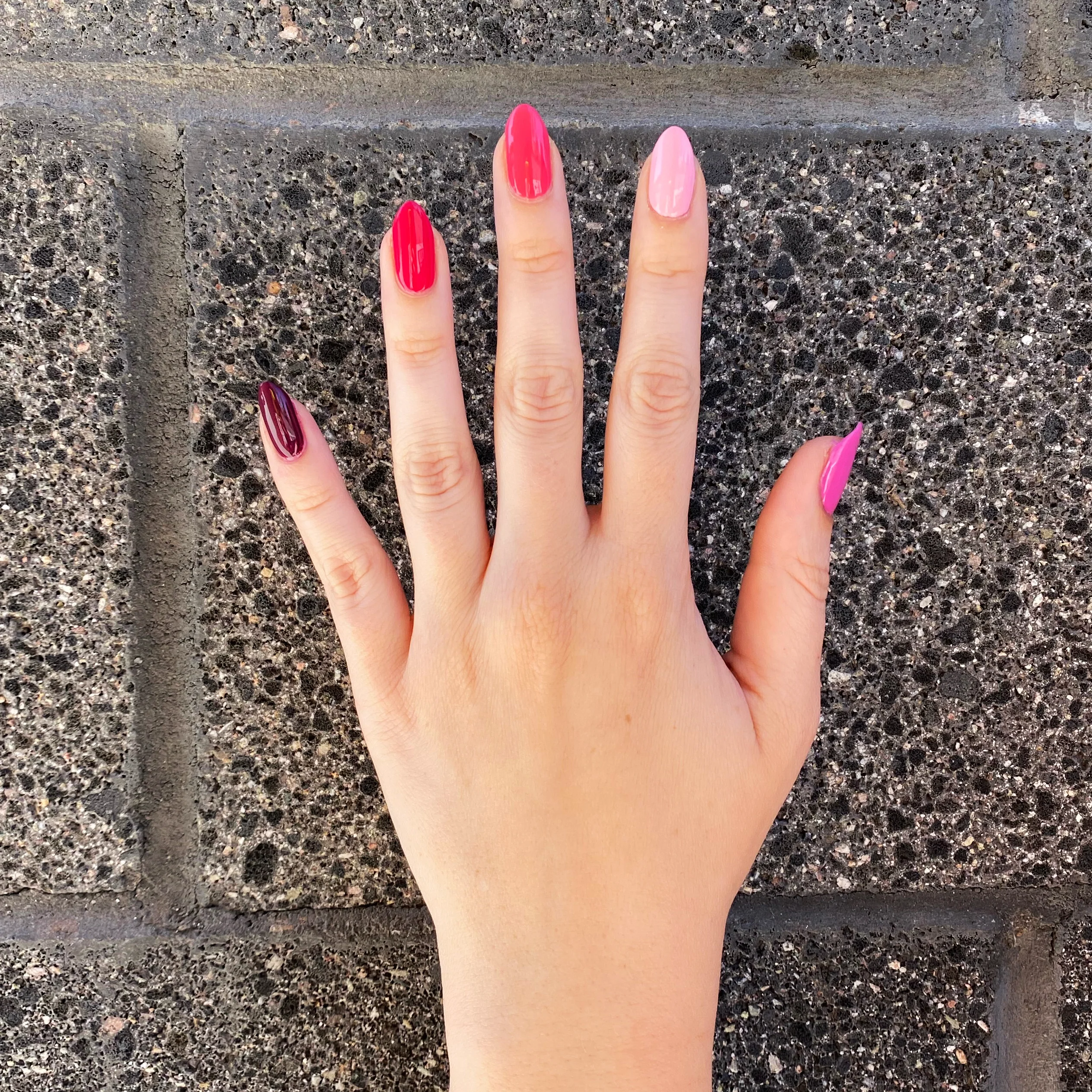 Coronado Mini Flight - Image 4